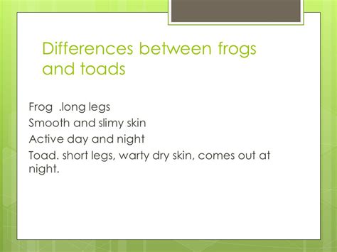 Adaptions Of Frogs By Alex Hageman What Do Frogs Eat Frogs Are