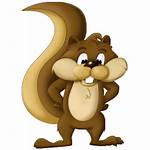 Squirrel Animated Clipart Cartoon Clip Squirrels Animals