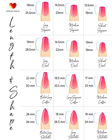 Acrylic Nail Length Chart