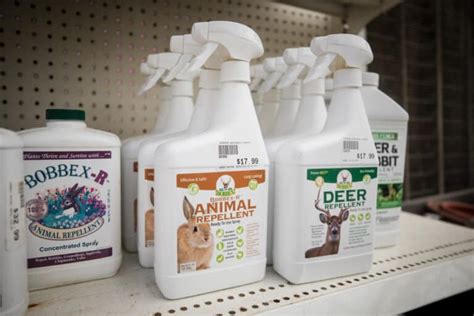 Here i suggest best 7 rabbit repellents and deterrents of 2021 for your. How to Repel Plant-Eating Rabbits From Your Garden 2020 ...