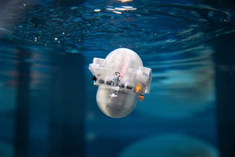 Caltechs Aquatic Robot Uses Ai To Navigate The Oceans Popular Science