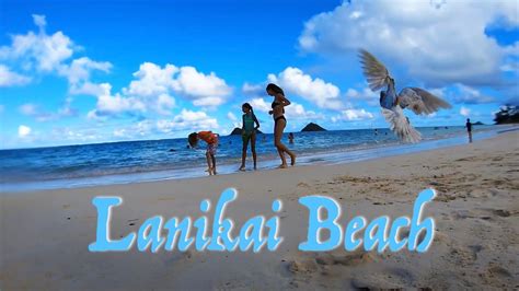 Lanikai Beach Youtube