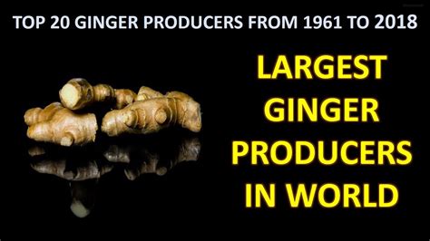 Largest Ginger Producing Countries In The World Top 20 Ginger
