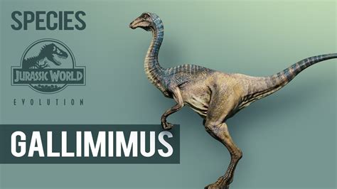 Gallimimus Species Profile Jurassic World Evolution Youtube