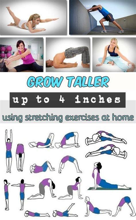 We did not find results for: Best exercises for increasing height and grow tall #increase #height | Increase height exercise ...