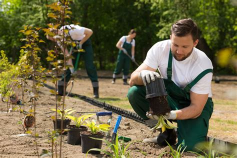 Gardener What Is It And How To Become One Ziprecruiter