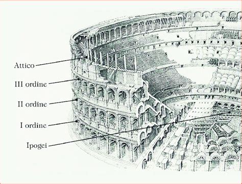 Five Levels Of Colosseum In Rome On All Levels And During All 6 Plant