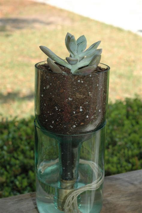 Self Watering Planter Made From Recycled Wine Bottle Como Fazer