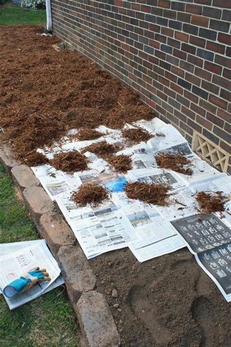 How To Keep Weeds Out Of Your Flower Bed Bed Western