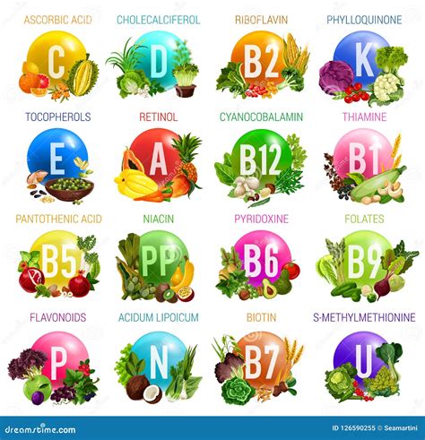 Vitaminas Y Minerales Comida Natural Orgánica Ilustración del Vector