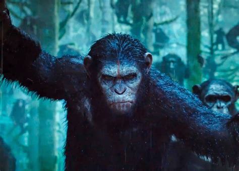 The Cinematic Spectacle Review Dawn Of The Planet Of The Apes 2014