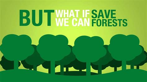 Save Paper To Save Forests Youtube