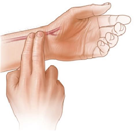 Measuring your heart rate is any easy way to gauge your health, as it provides a. CricED - Learning through Cricket