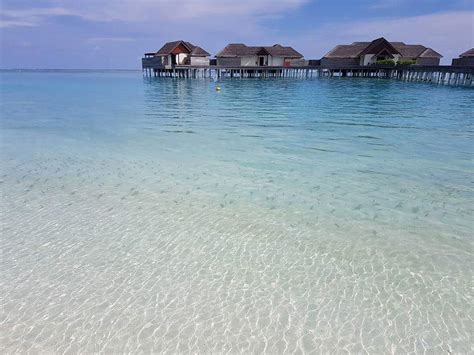 Strand Niyama Private Islands Maldives Kudahuvadhoo Holidaycheck