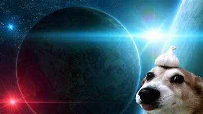Garlic Doggo Dog Flare Lens Space Probably
