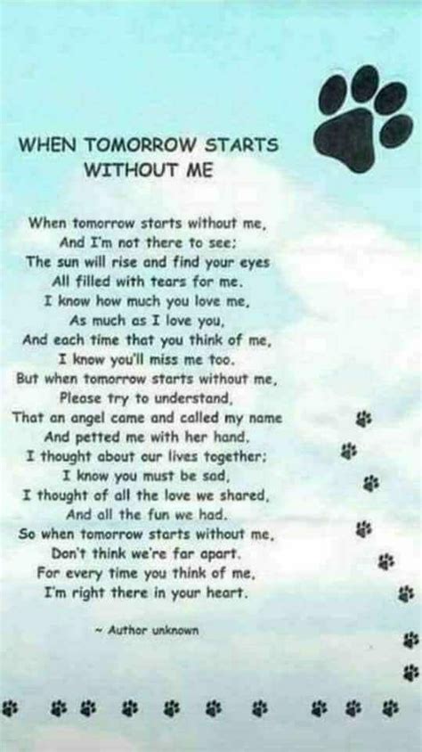Pin By Carla Rodrigues On Dogs Pet Loss Grief Dog Poems Dog Quotes