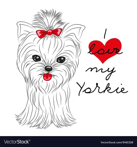 cute yorkshire terrier vector image  vectorstock   yorkshire terrier yorkie coloring