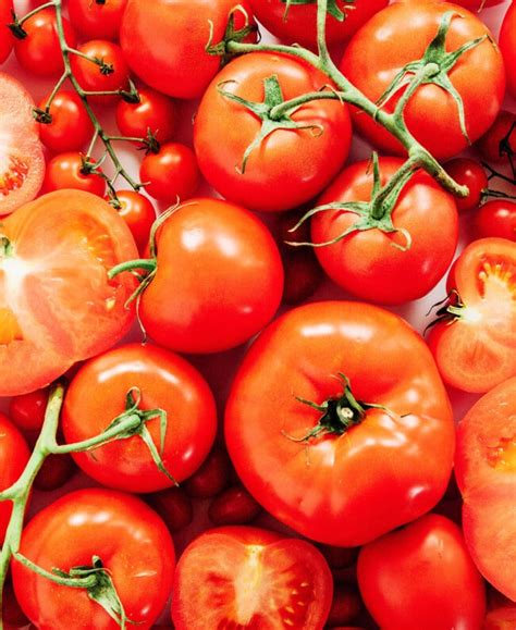 75 Types Of Tomatoes From A To Z With Photos