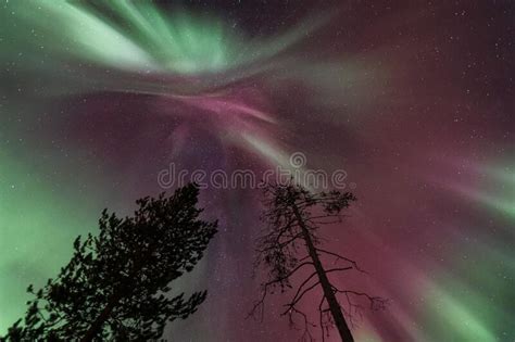 Breathtaking View Of The Northern Lights Or Aurora Borealis In Lapland