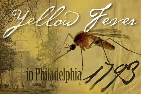 Yellow Fever Epidemic Of 1793 ‘all Was Not Right In Our City Witf