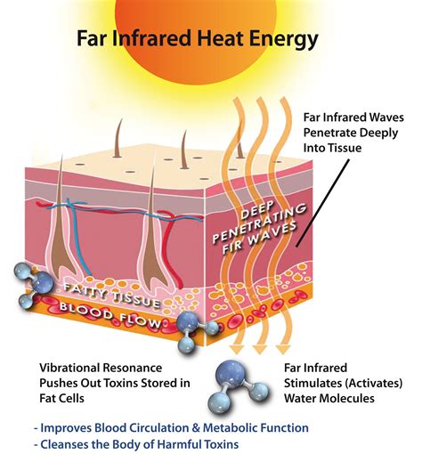 Fir Far Infrared Heat Therapy Pemf Mats Reviews