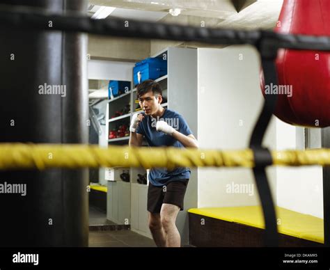 Boxer Art High Resolution Stock Photography And Images Alamy