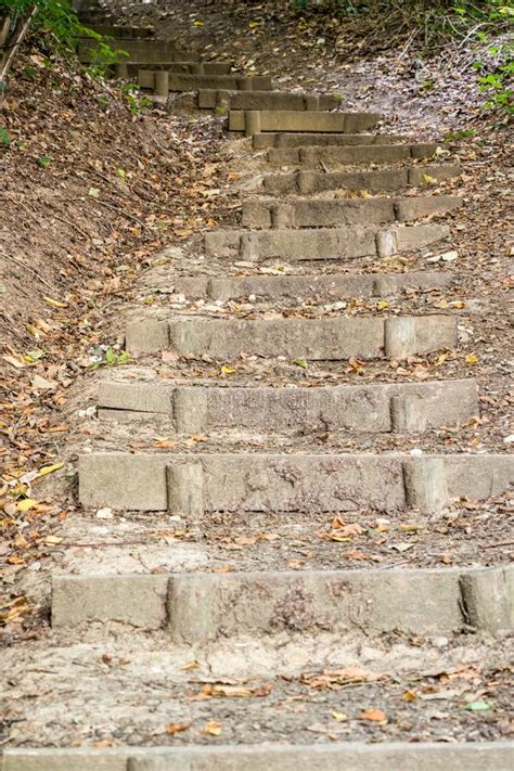 Stairs In A Forest Stock Photo Image Of Fall Perspective 158989676