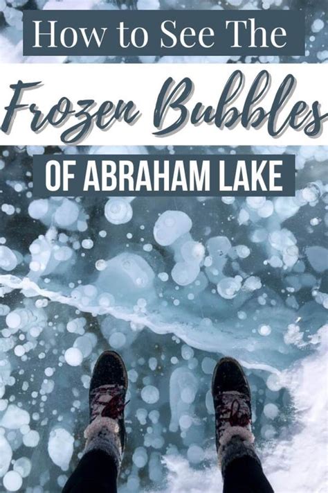 How To See The Frozen Methane Bubbles Of Abraham Lake Alberta