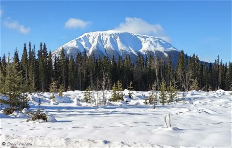 Northern Interior British Columbia 2016 Winter Nadina Mountain Houston