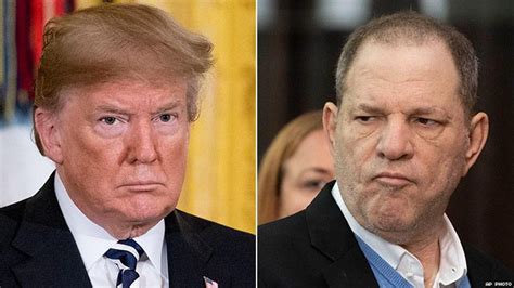 donald trump lied when he said he knew nothing about harvey weinstein