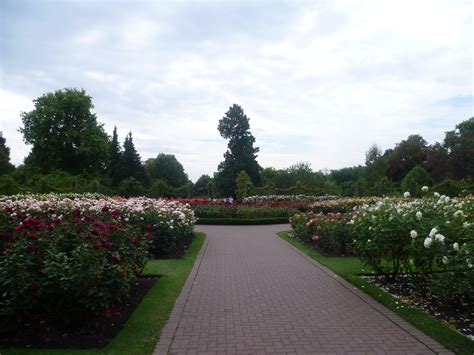 The Rose Garden At Regents Park London Regents Park Favorite