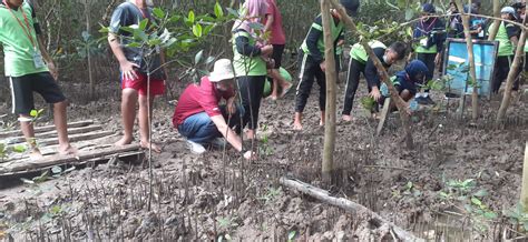 Paket Wisata Outbound E Edukasi Desa Wisata Mina Mangrove Tunggulsari