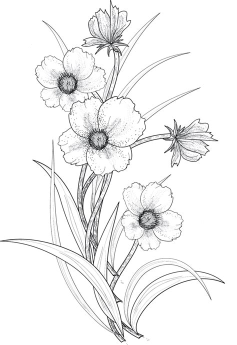 Botanica에 있는 핀