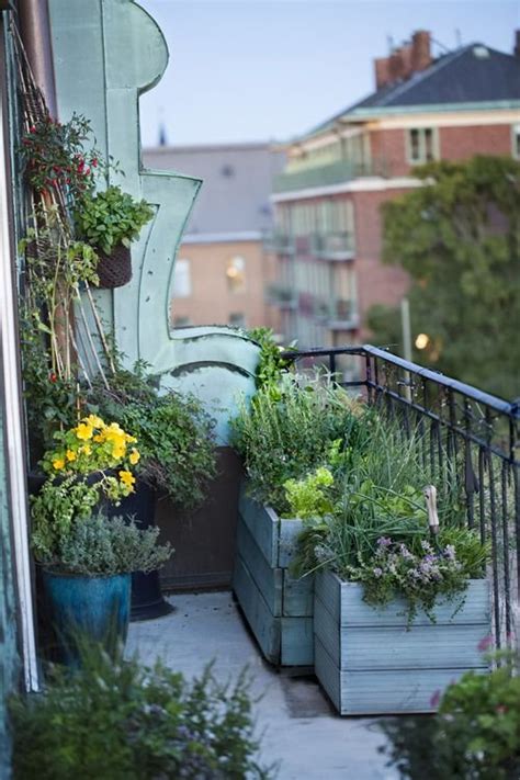 19 Balcony Gardening Tips To Follow Before Setting Up A Balcony Garden