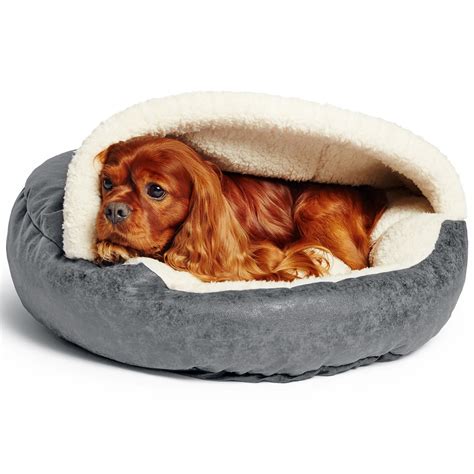 How To Choose A Hoodeddome Dog Bed Foter