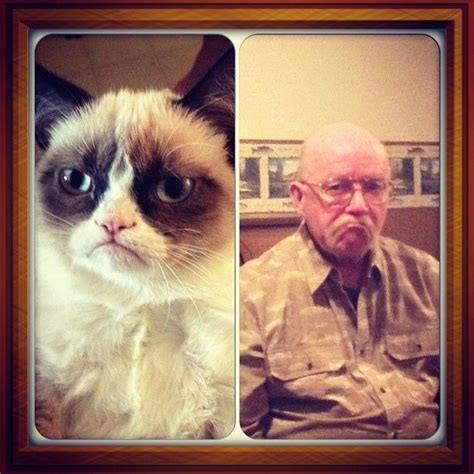 Grandpa Grumpy Cat Baha I Die Grumpy Cat Sick Humor Cats