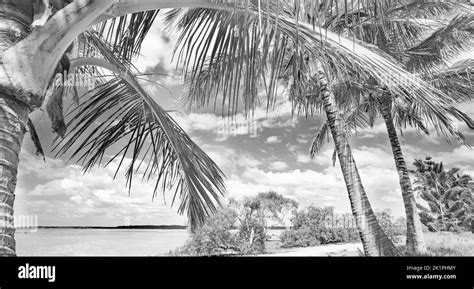 white black and white photography black white photography panoramic photography panoramic format
