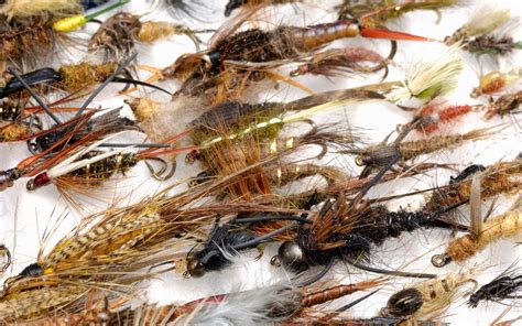 Fly Fishing Midges Midge Fly Patterns And How To Fish Them Into Fly
