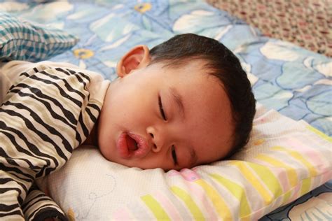 Tidak berasa takut atau gentar sekiranya berada di pihak yang benar. HiDup iTu IndaH: January 2011