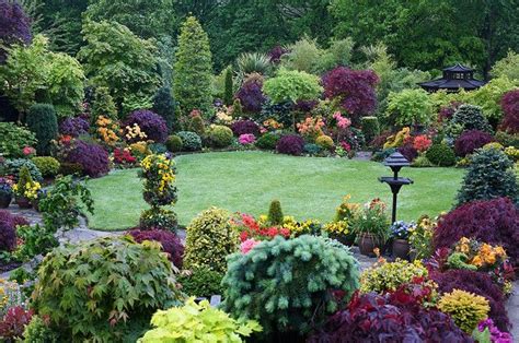 lush may evergreen garden beautiful gardens garden inspiration
