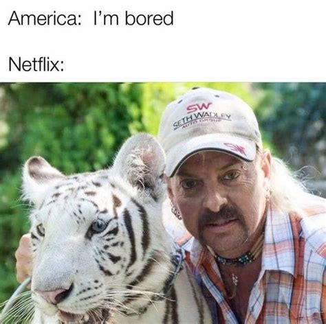 Vanlige Fakta Om Funny Tiger King Birthday Memes Netflix