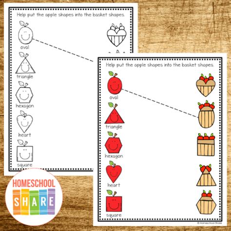 Free Apple Matching Shapes Worksheets Homeschool Share