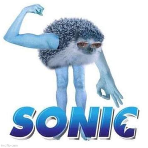 Msmemergroup Sonic The Hedgehog Memes And S Imgflip
