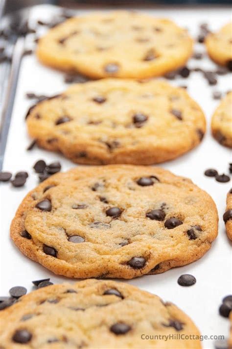 Best Chocolate Chip Cookie Recipe No Brown Sugar Easy 2023
