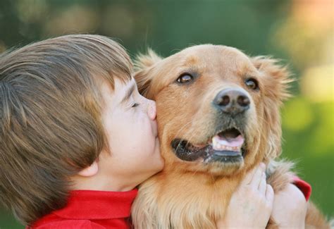Should You Hug Your Dog Heres Why Researchers Say Its Not A Good Idea