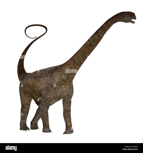 Malawisaurus Was A Herbivore Sauropod Dinosaur That Lived In Africa