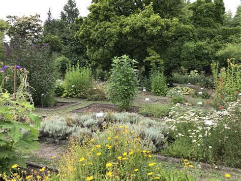 Visite découverte du jardin Botanique du jardin Public | Jardin