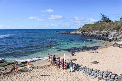 Hookipa Beach Park Maui 5 Easy Tips To Know For Your Visit