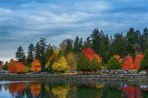 Stanley Park Autumn Photograph By Art Spectrum