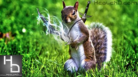 Eating leaves, bulbs, and bark; Tutorial 25 : How To Make a Warrior Squirrel ...